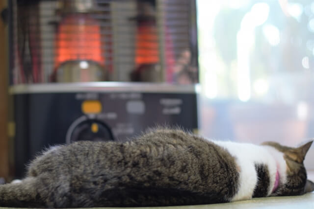 猫の暖房