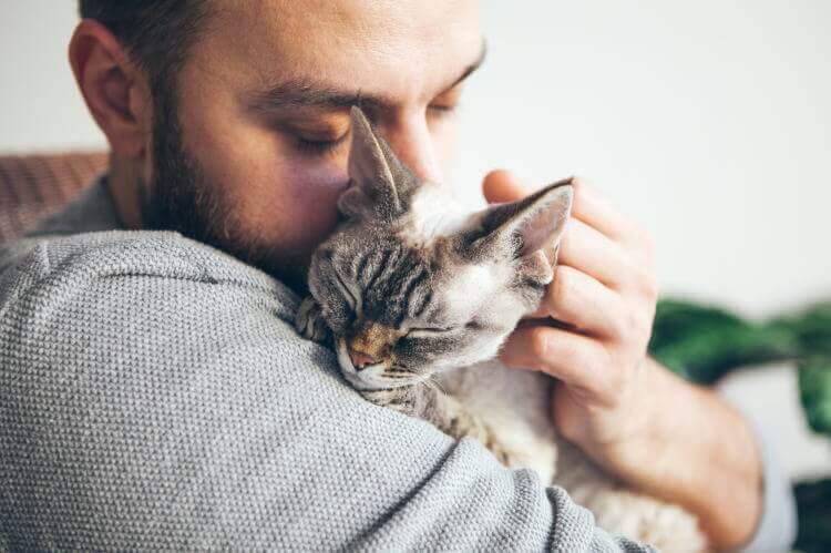猫が抱っこを嫌がる真の理由3選と、愛猫を安心させる方法