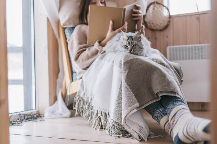 猫と暖房